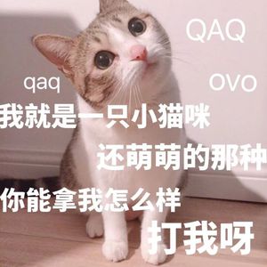 综合兼职小蛇导航
