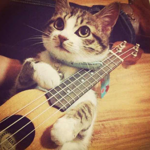 综合兼职小蛇导航
