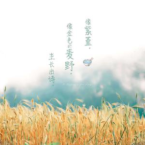 综合兼职小蛇导航
