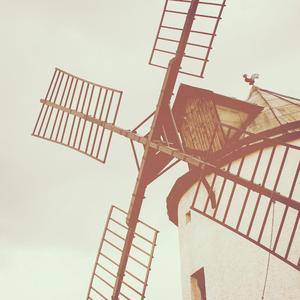 综合兼职小蛇导航
